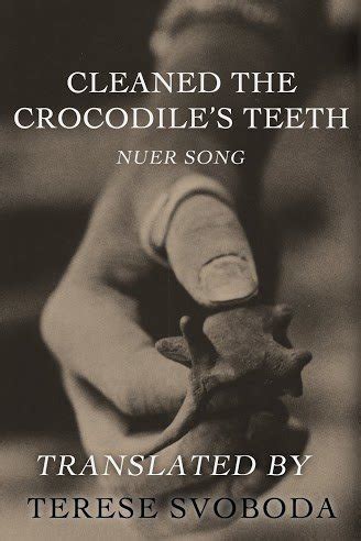 cleaned the crocodiles teeth nuer song Reader